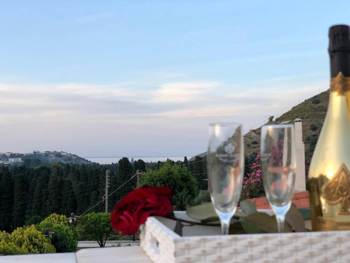 Villa Andros Epoque Livádhia Eksteriør billede