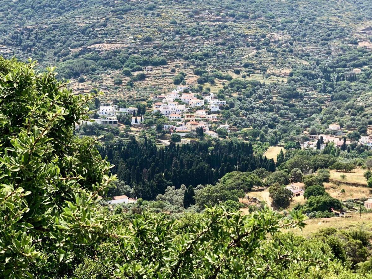 Villa Andros Epoque Livádhia Eksteriør billede