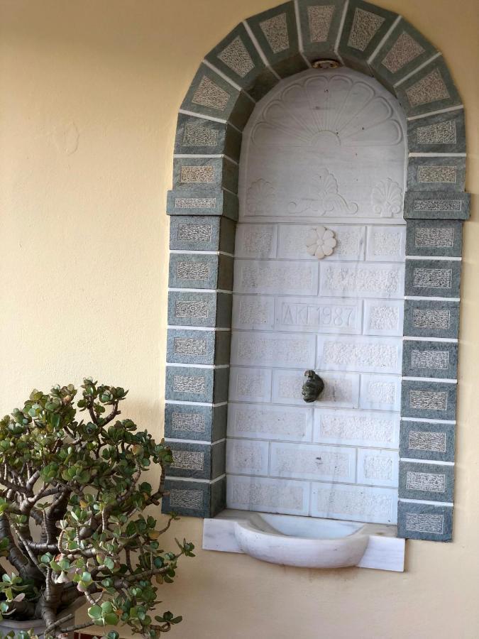 Villa Andros Epoque Livádhia Eksteriør billede